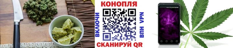 ссылка на мегу tor  магазин    Новоржев  Еда ТГК марихуана 