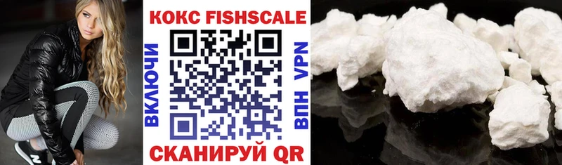 COCAIN Fish Scale  купить наркоту  мориарти официальный сайт  Новоржев 