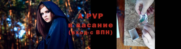 шишки Зерноград