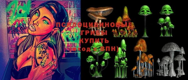 шишки Зерноград