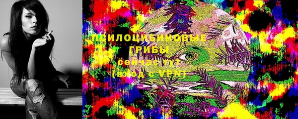 прущие крисы Зеленодольск