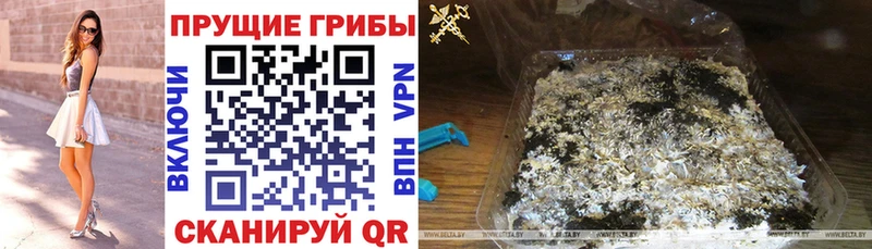 МЕГА сайт  Новоржев  Галлюциногенные грибы мухоморы  наркошоп 